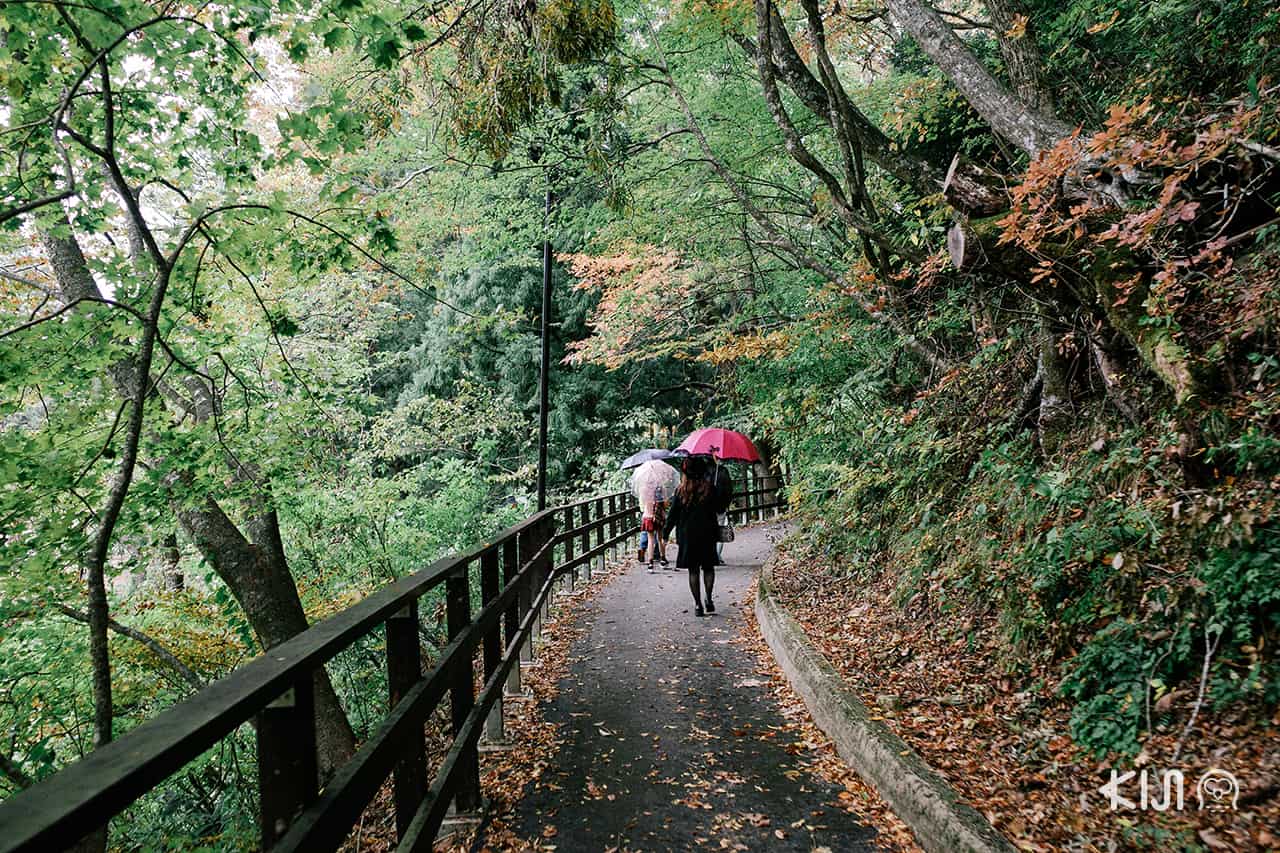 หุบเขาดาคิกาเอริ Dakigaeri Gorge
