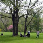 botanic garden hokkaido university-green space-sapporo-hokkaido-japan