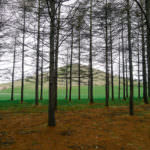 moerenuma park-mount moere2-sapporo-hokkaido-japan