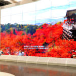 8K, Super Hi-Vision, display at NHK on Aug. 19, 2015. Hodo-bu Murai reports. YOSHIAKI MIURA PHOTO