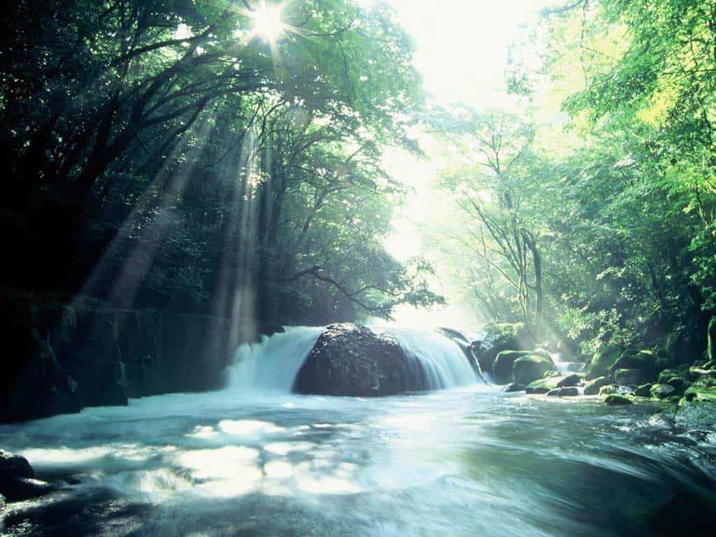 เที่ยว โออิตะ (Oita) - หุบเขาคิคุจิ (Kikuchi Gorge)