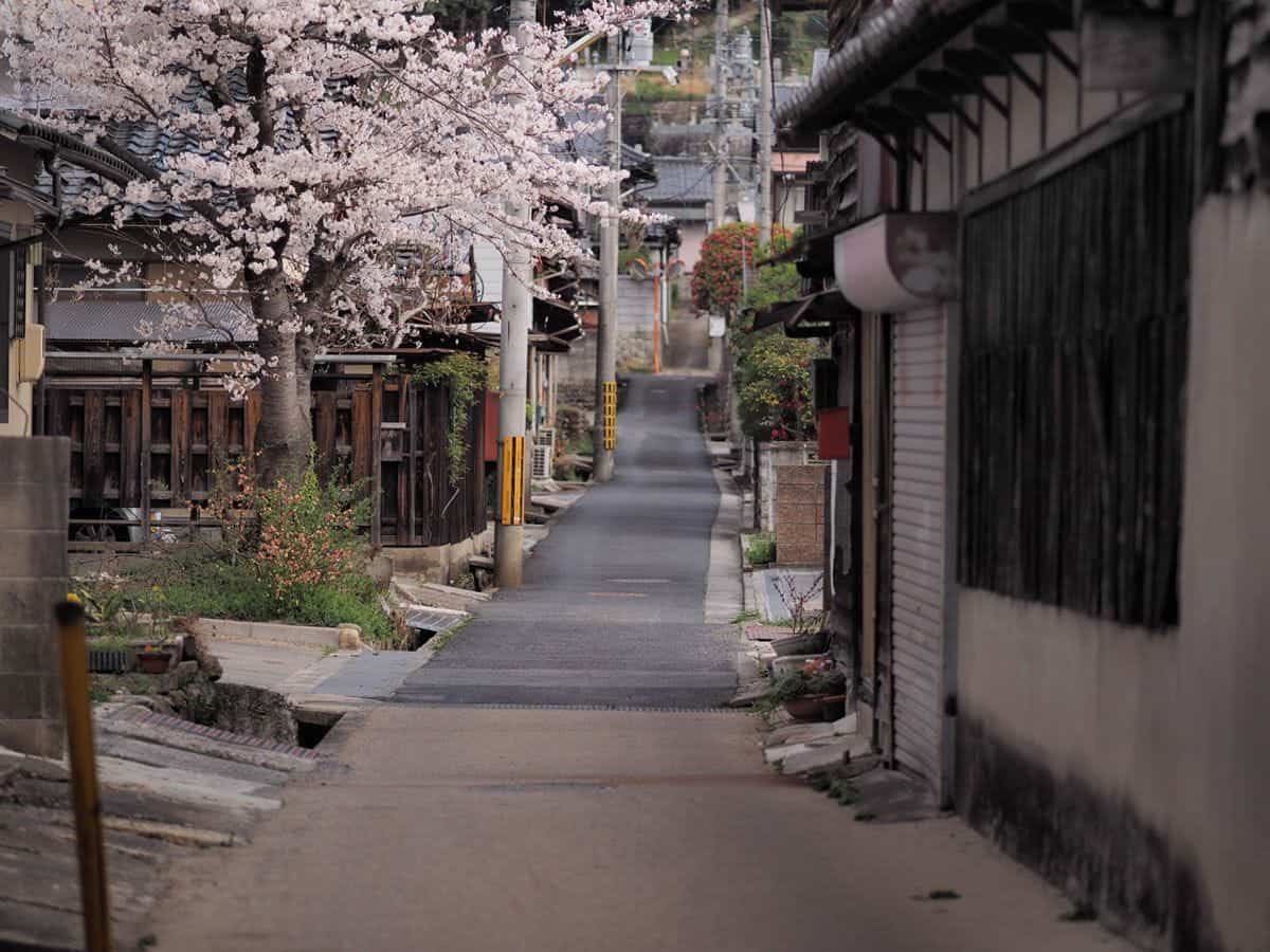 คิโนะซากิออนเซ็น (Kinosaki Onsen)