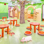 80797896_1568941189921108_2817713620958314496_o