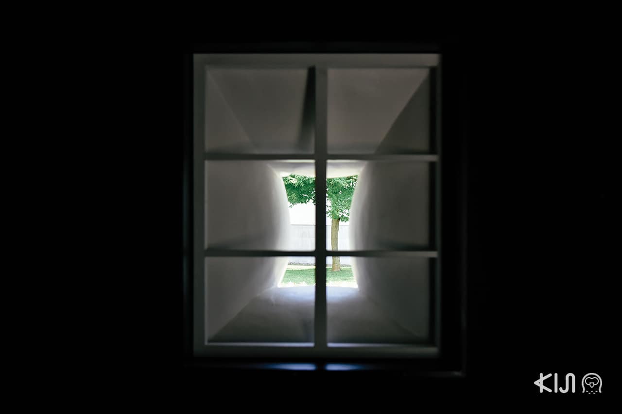 Fat House & Fat Car by Erwin Wurm