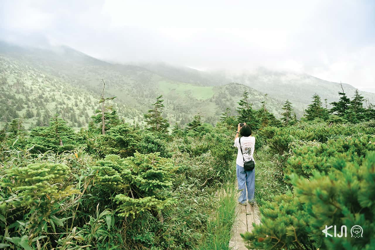 Mt.Hakkoda จ.อาโอโมริ (Aomori)