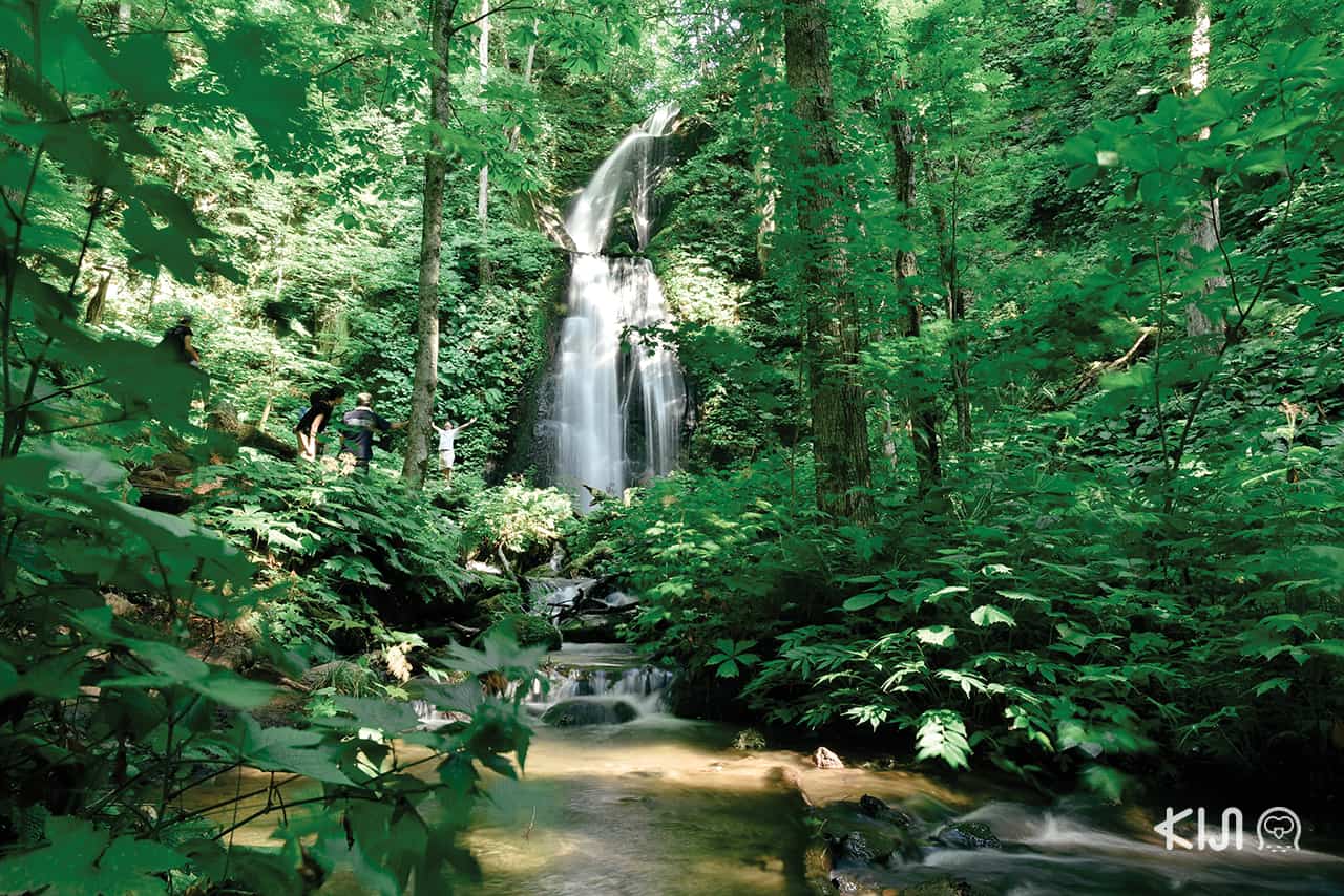 Kumoinotaki Falls อาโอโมริ (Aomori)