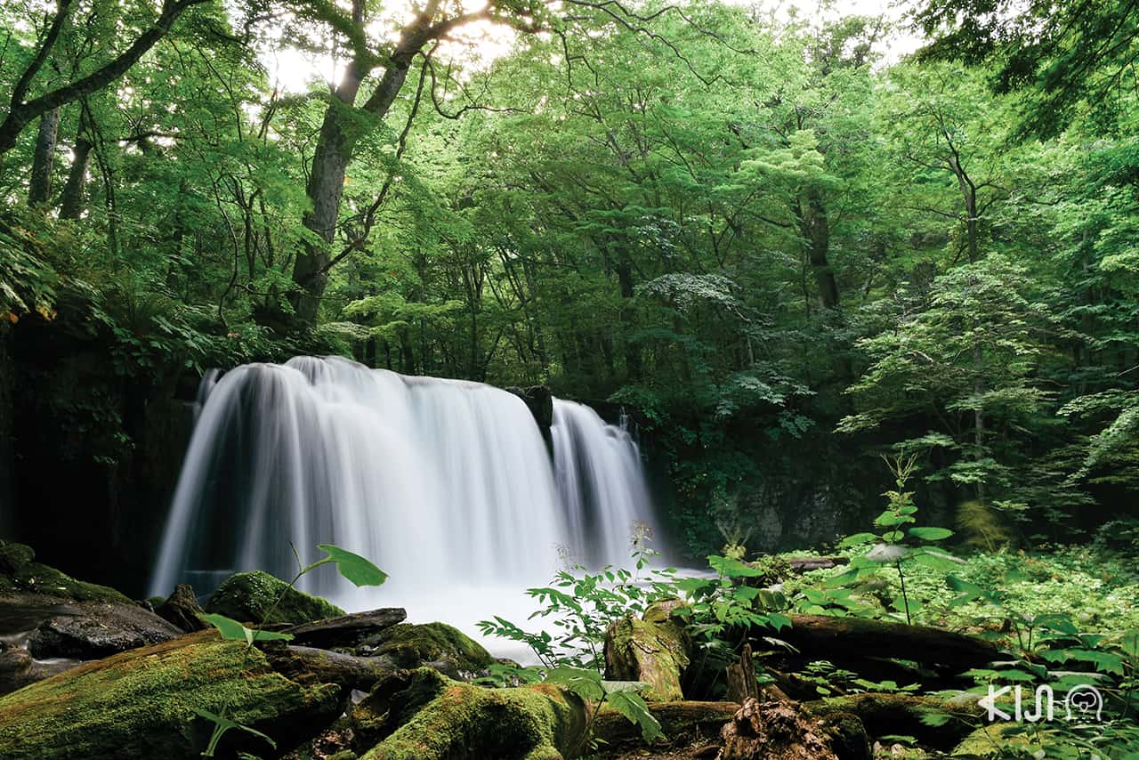 Choshi-otaki Falls อาโอโมริ Aomori