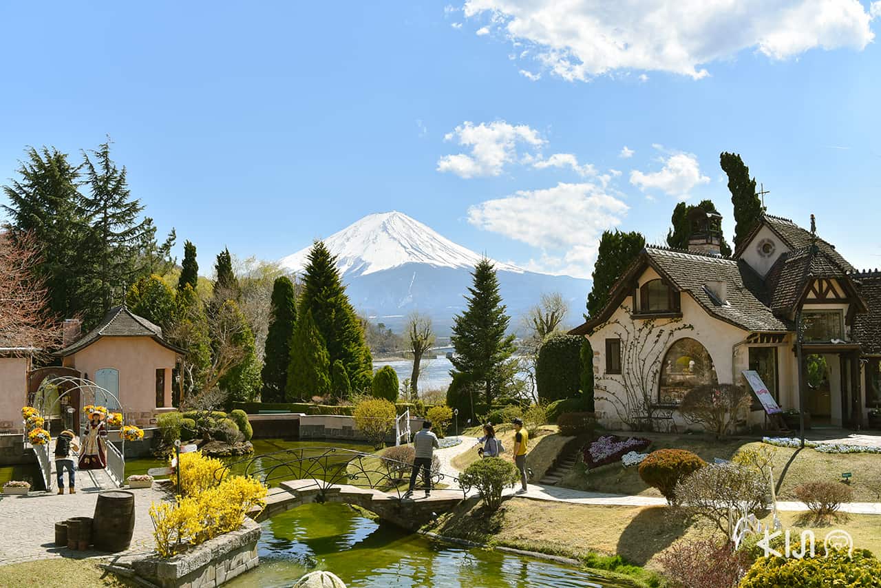เที่ยว Kawaguchiko Music Forest Museum - รถไฟสายฟูจิคิวโค (Fujikyuko Line)