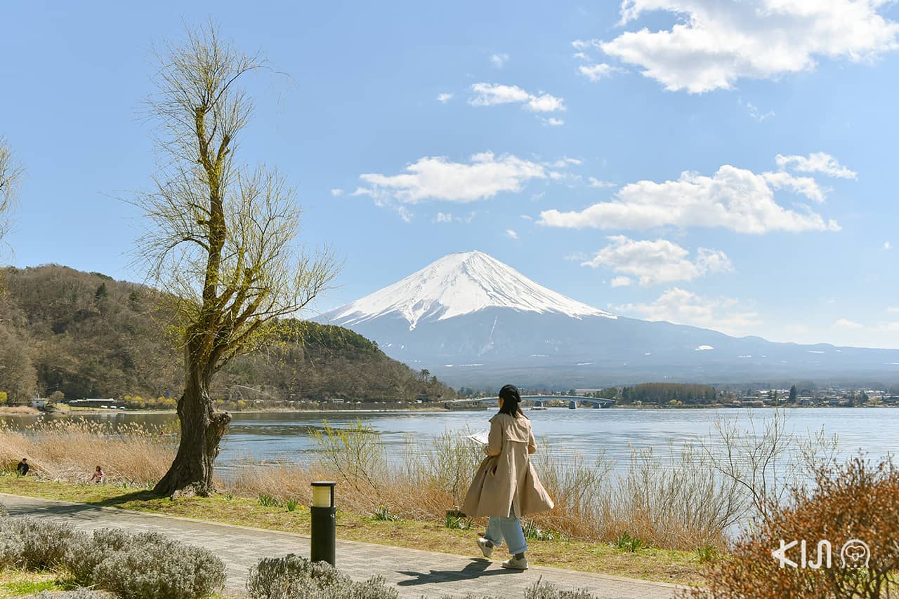 เที่ยว Kawaguchiko - รถไฟสายฟูจิคิวโค (Fujikyuko Line)