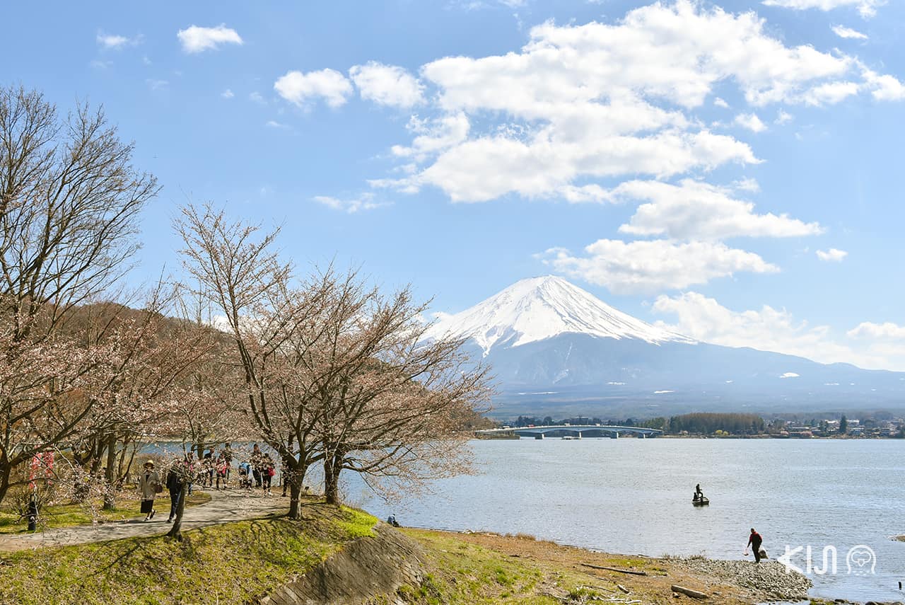 เที่ยว Kawaguchiko ด้วย รถไฟสายฟูจิคิวโค (Fujikyuko Line)