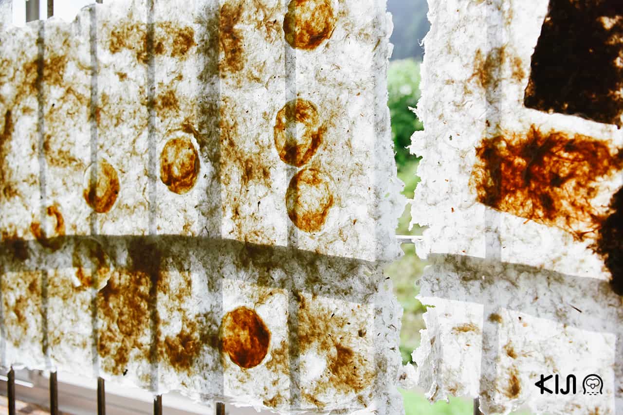 Hachi & Seizo Tashima