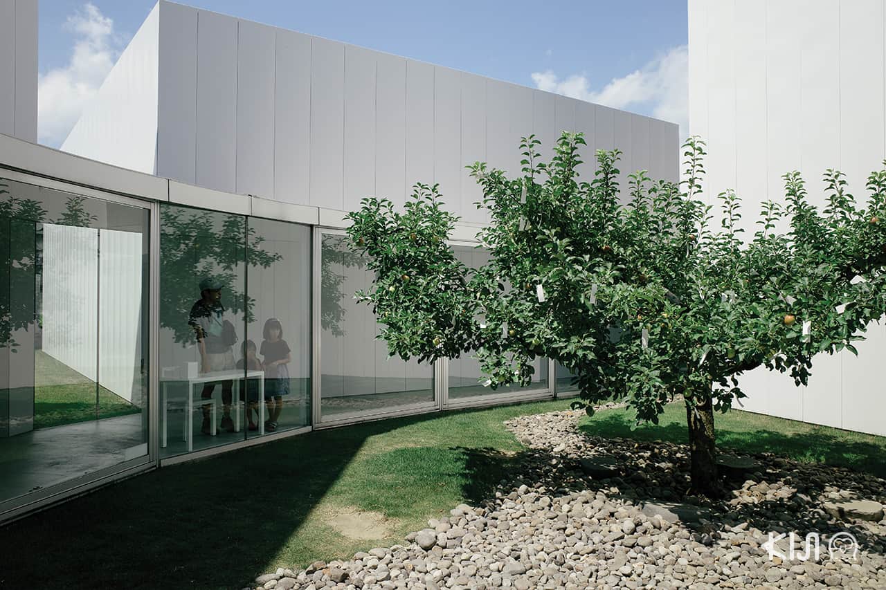 Wish Tree for Towada by Yoko Ono จ.อาโอโมริ (Aomori)