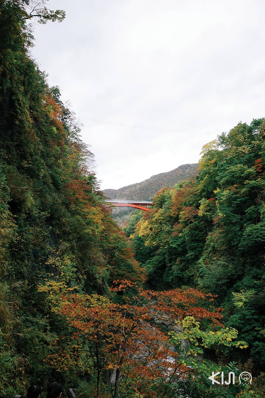 หุบเขาโอยาสุ (Oyasu Valley) โอยาสุเคียว - Kawarayu Bridge