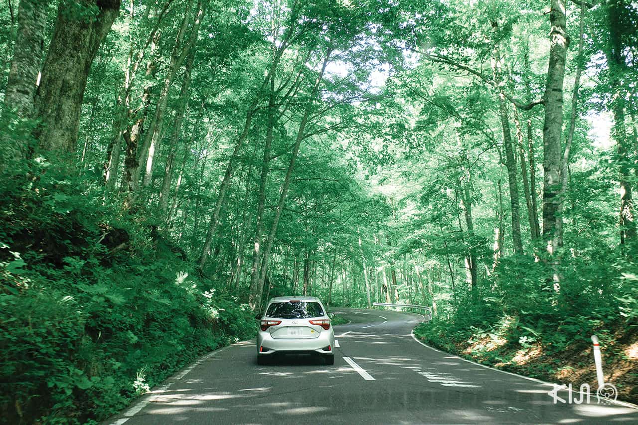 วิธีการเดินทางเที่ยวใน จ.อาโอโมริ (Aomori)