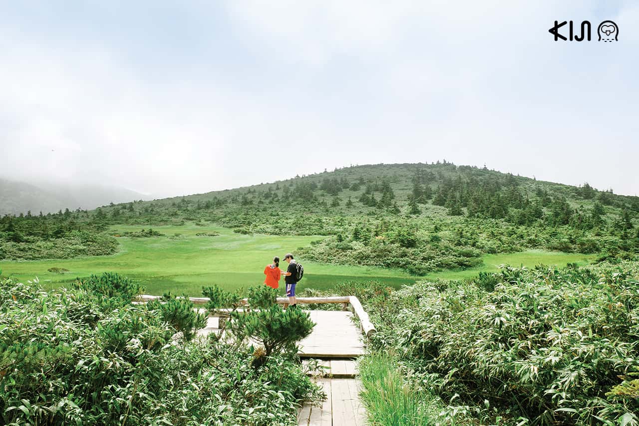เที่ยว Mt.Hakkoda จ.อาโอโมริ (Aomori)