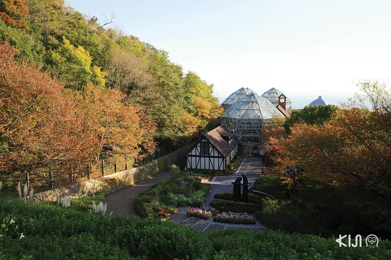 เที่ยว KOBE HIMEJI OTSU : Nunobiki Herb Garden