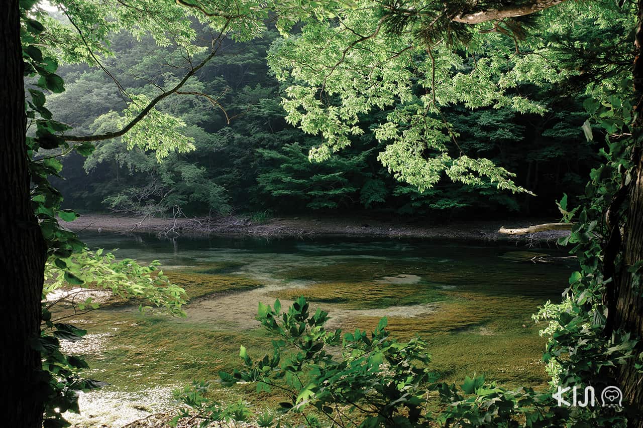 Oirase Gorge จ.อาโอโมริ (Aomori)
