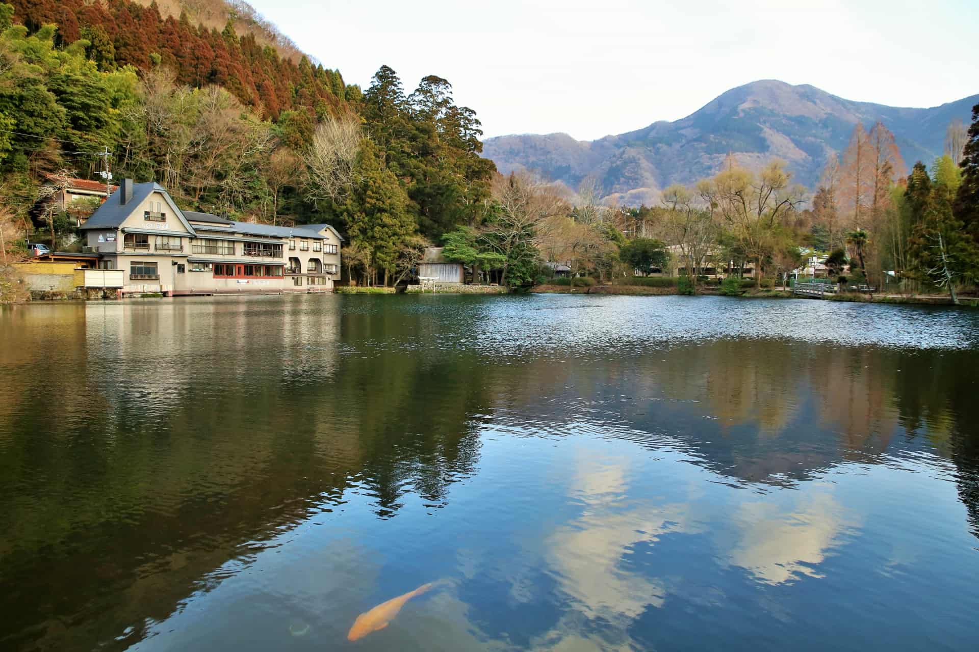 เที่ยว โออิตะ (Oita) - ทะเลสาบคินริน (Lake Kinrin)