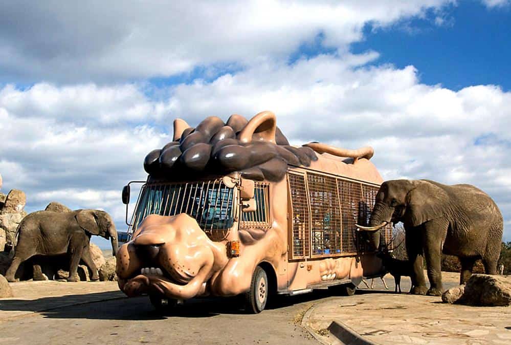 โออิตะ (Oita) - สวนสัตว์แอฟริกันซาฟารี