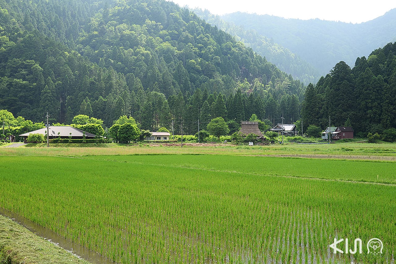 เมืองชนบทมิยามะ (Miyama) มีพิพิธภัณฑ์ Miyama Folklore Museum