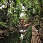 20180517_170613 – Copy