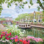 __41I5974_1__s_s – Copy