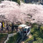 5b7a9076af92d_5b7a8fa3e9fed_2132242203 – Copy