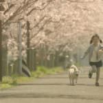 81334196_2938718112826062_6989256806845382656_o