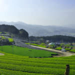 90a215fe2faa6fc73e964960bf559d18-1