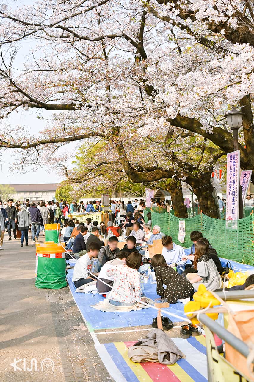 จุดชมซากุระ โตเกียว - สวนอุเอโนะ