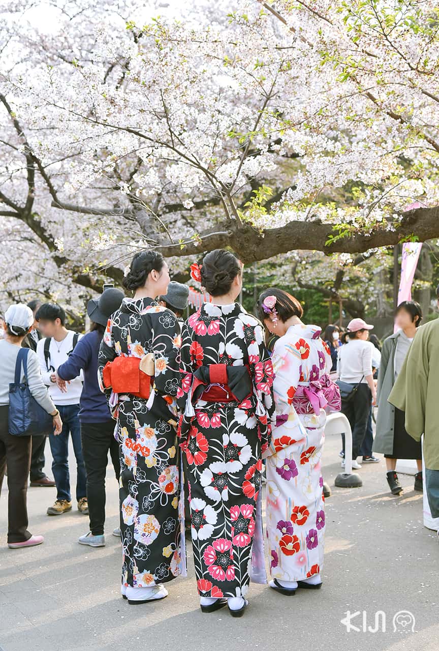ซากุระ โตเกียว - สวนอุเอโนะ (Ueno Park)