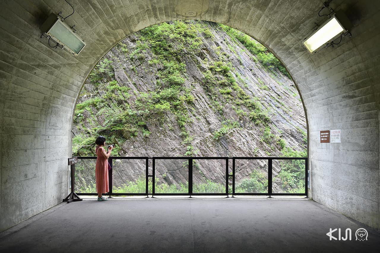 Echigo-Tsumari Art Field - Tunnel of Light แพลตฟอร์ม 1