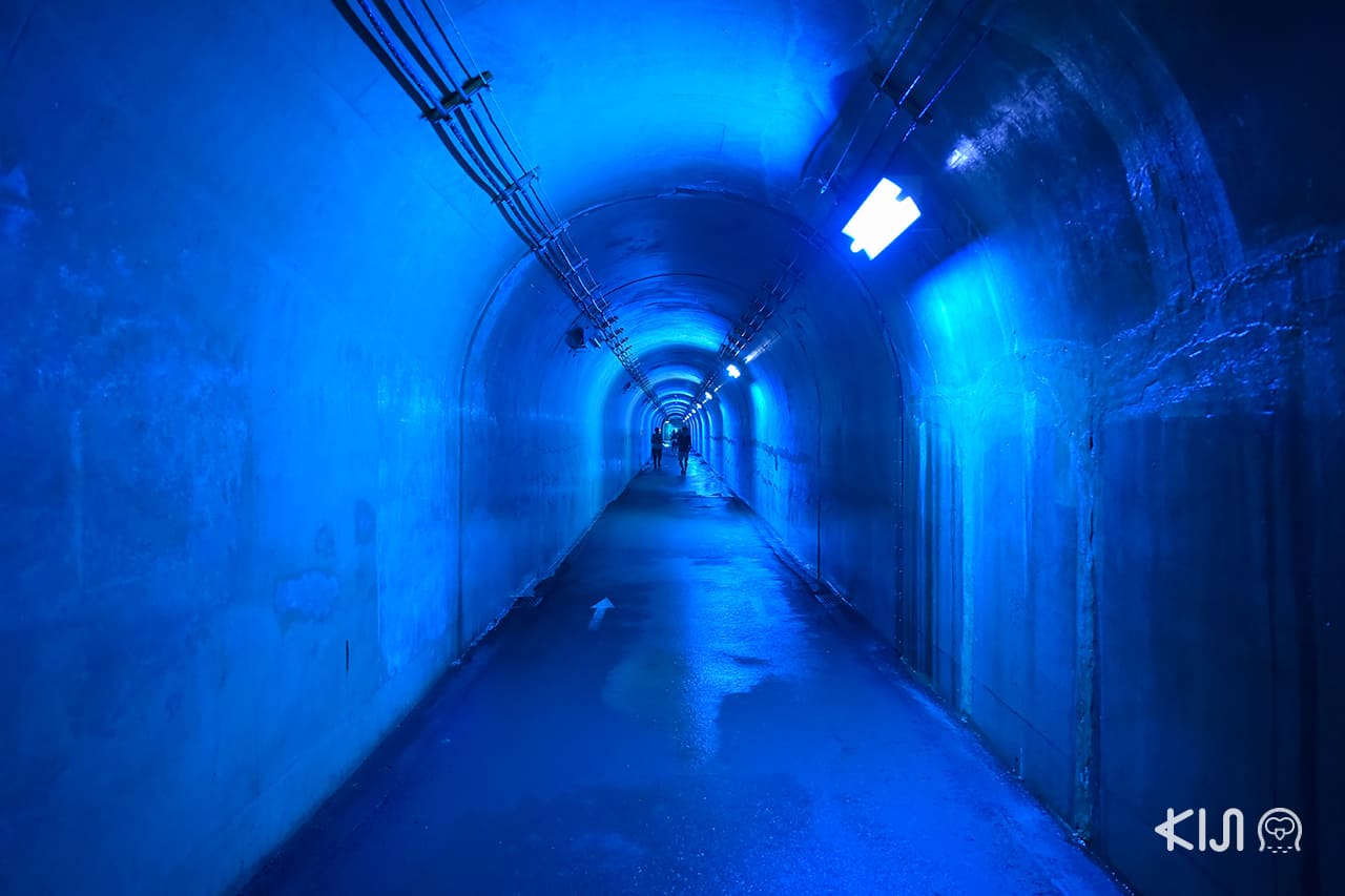 Echigo-Tsumari Art Field - ภายใน Tunnel of Light