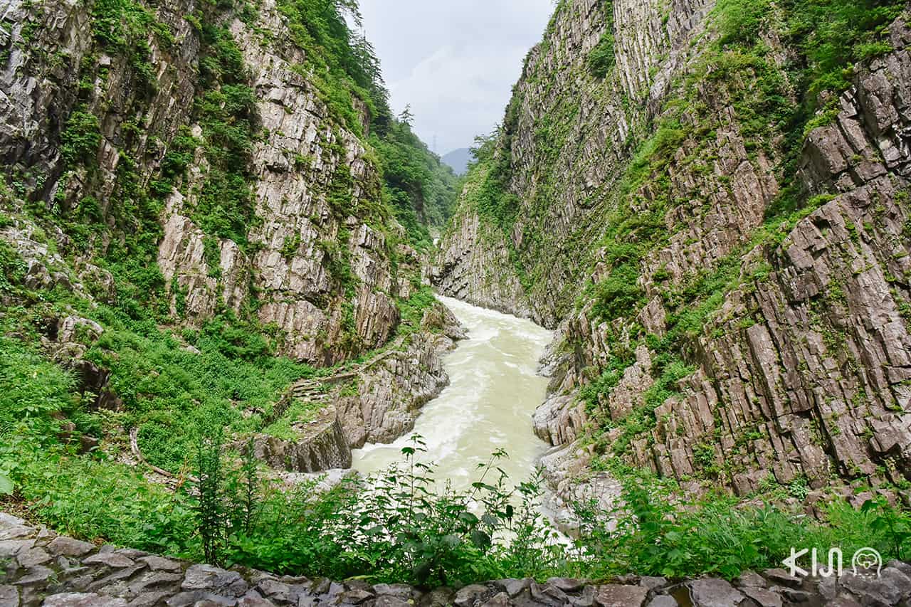 Tunnel of Light นีงาตะ