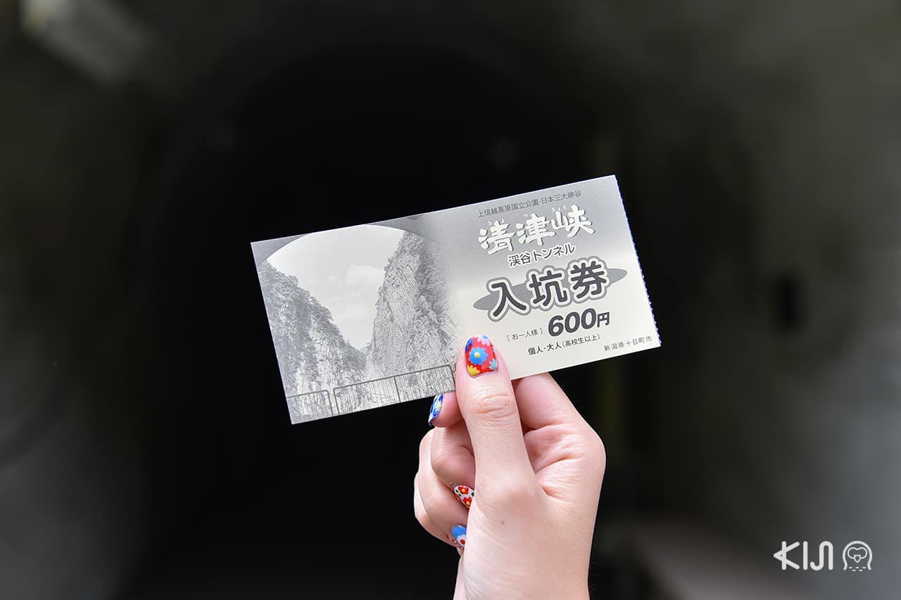 Echigo-Tsumari Art Field - บัตรเข้า Tunnel of Light