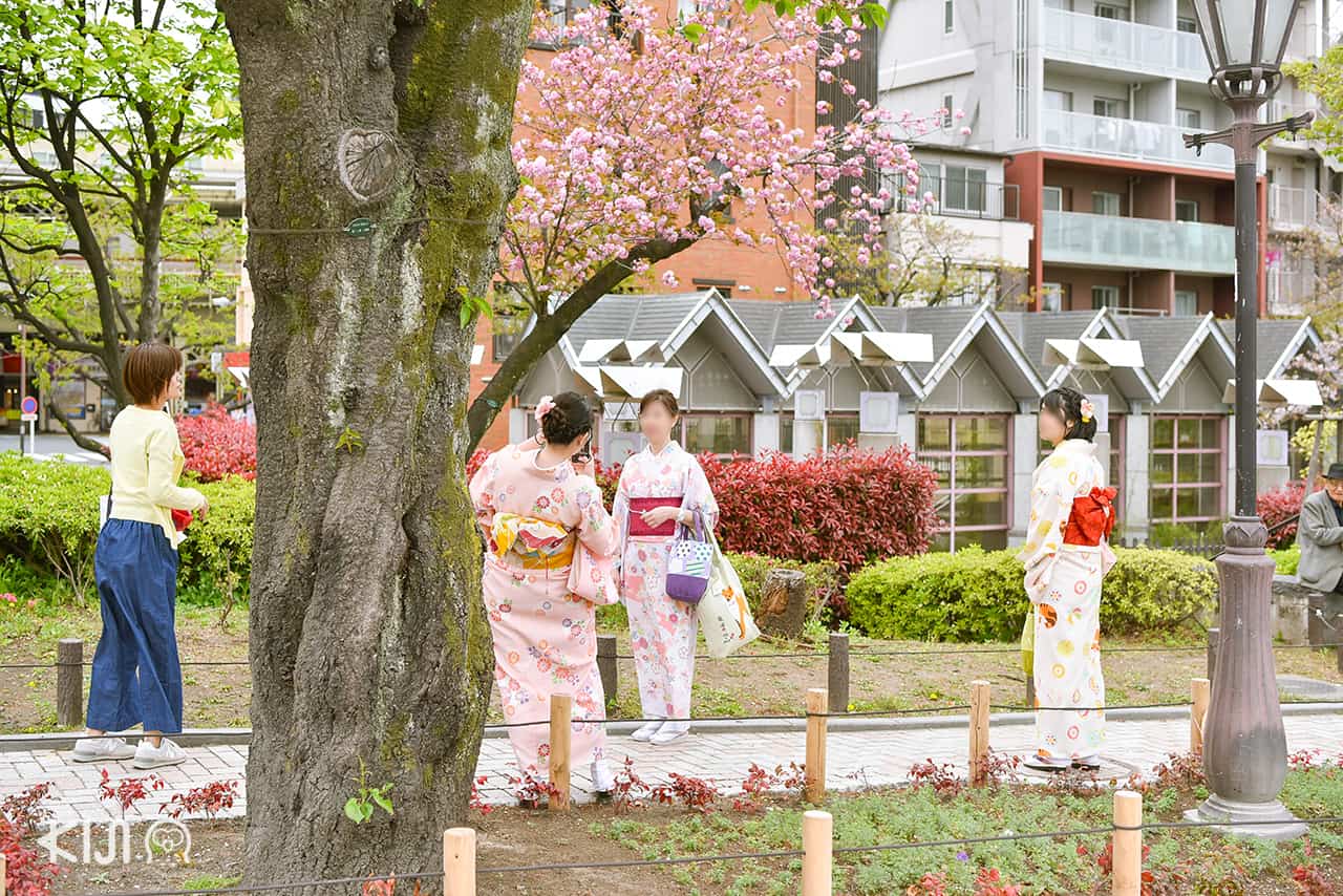 จุดชมซากุระ โตเกียว - ริมแม่น้ำสุมิดะ