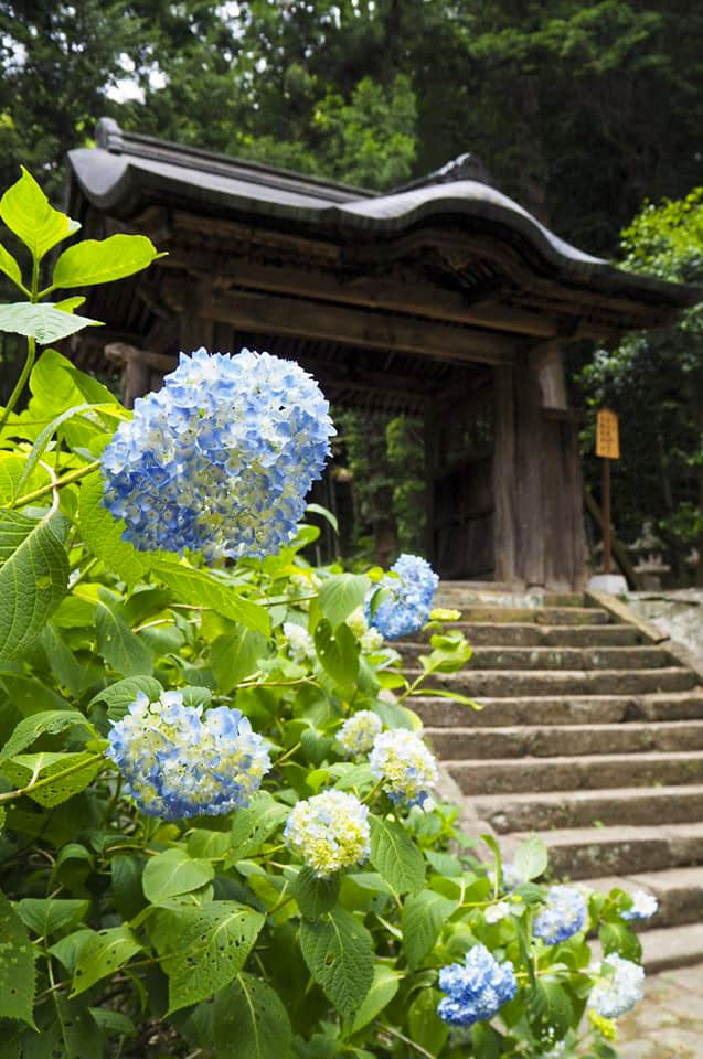วัดเก็ชโชจิ (Gesshoji Temple) อีกแหล่งท่องเที่ยวสำคัญในชิมาเนะ Shimane