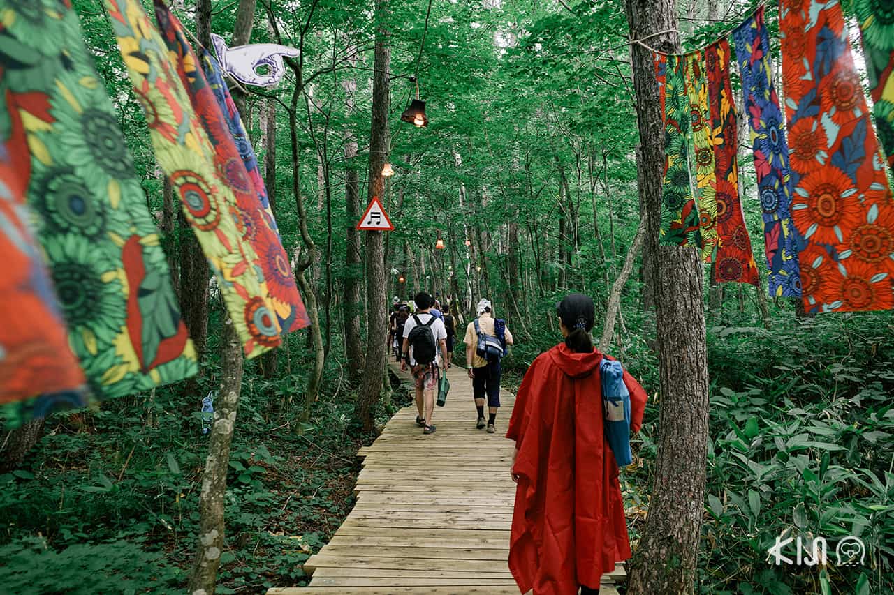 Fuji Rock Festival ปี 2019