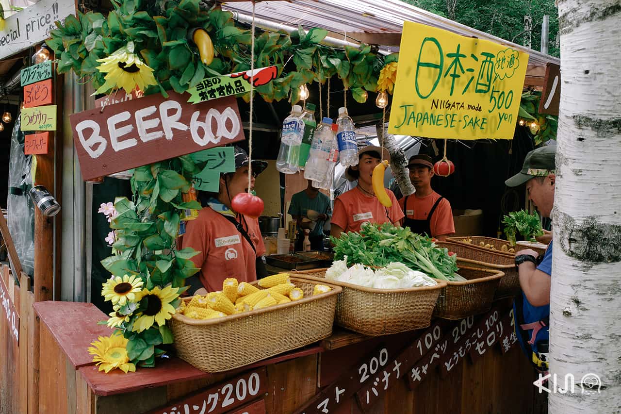 ผัก ผลไม้ ออแกนิค Fuji Rock Festival 2019