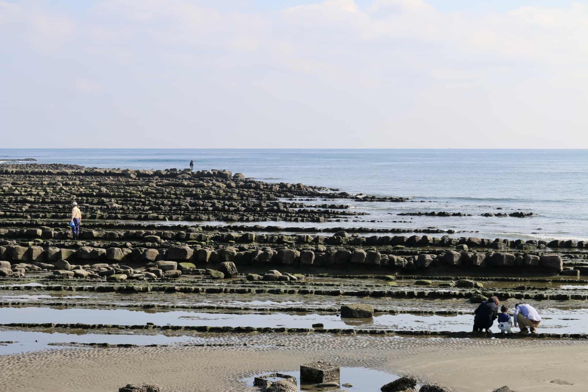ที่เที่ยวมิยาซากิ : ศาลเจ้าอาโอชิมะ (Aoshima Shrine)