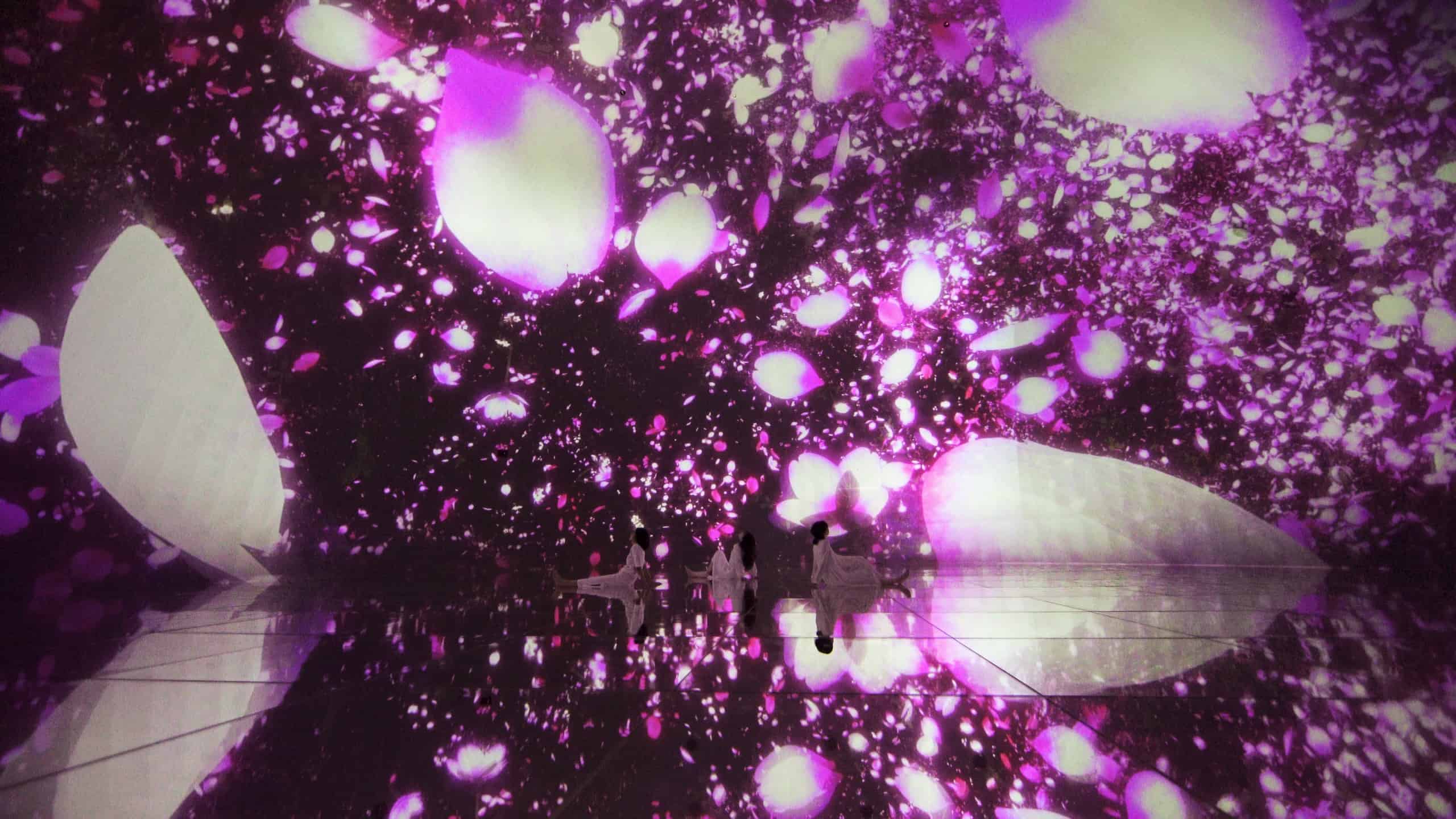 teamLab Planets โตเกียว