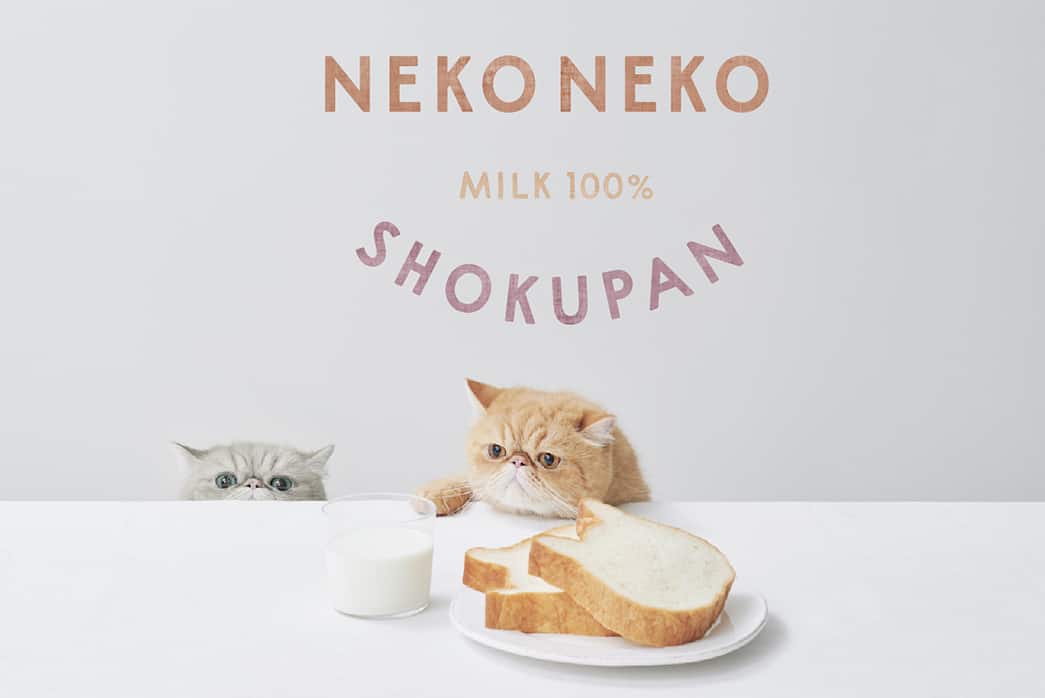 Neko Neko Shokupan in Fukuoka