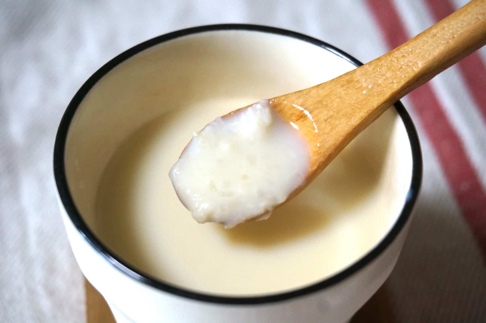 โพรไบโอติกส์ จุลินทรีย์ชนิดดี ที่คนญี่ปุ่นรัก