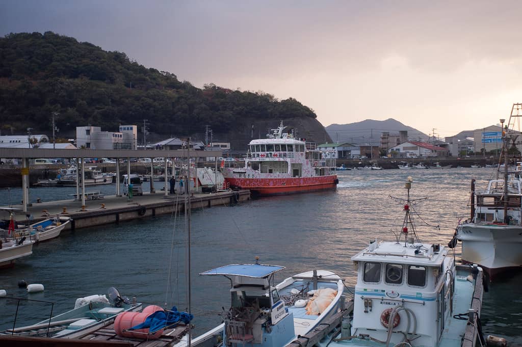 เกาะแมวในญี่ปุ่น : เกาะซานากิจิมะ จังหวัดคางาวะ (Sanagijima, Kagawa)