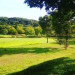 39349254_1980167925614801_1934218532975804416_n