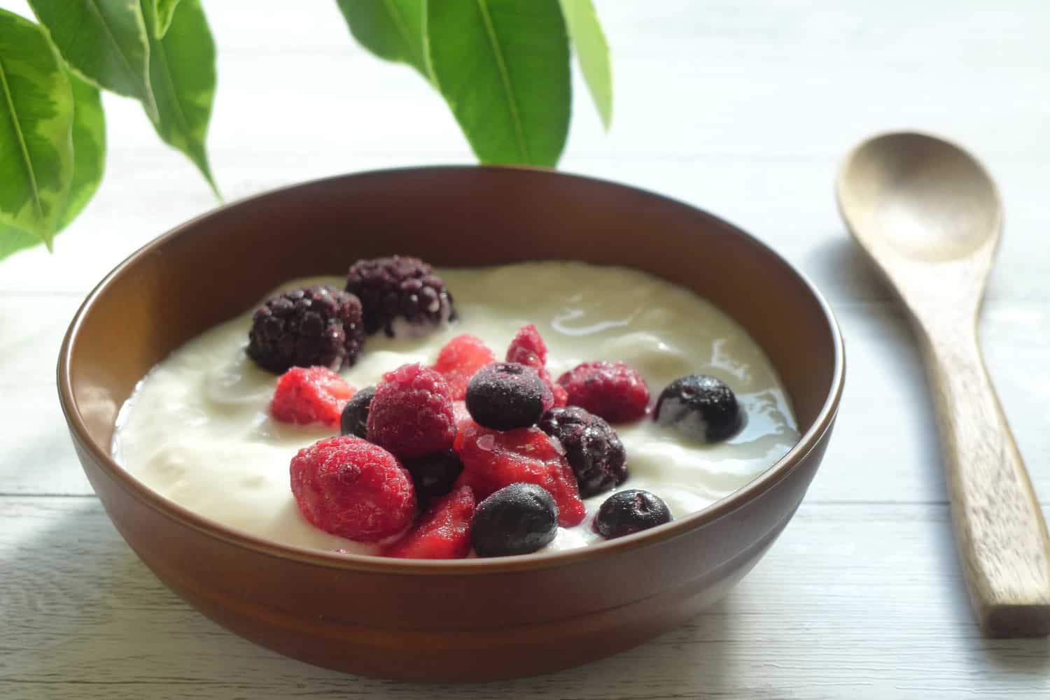 โยเกิร์ต Yoghurt เพิ่มจุลินทรีย์ชนิดดี