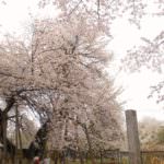 6d5e26b626c9b56c4882cf5dff9d5915_l