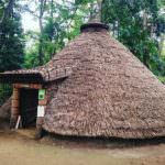 71694394_132733638108557_8365785831172245931_n