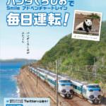 84574157_1602321529916407_2855873061058510848_n