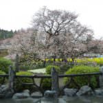 8fcd0e2e6b8a94ffb6164133f5467cb4_m